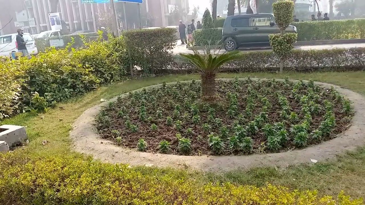 beauty of Mansoora Lahore pakistan
